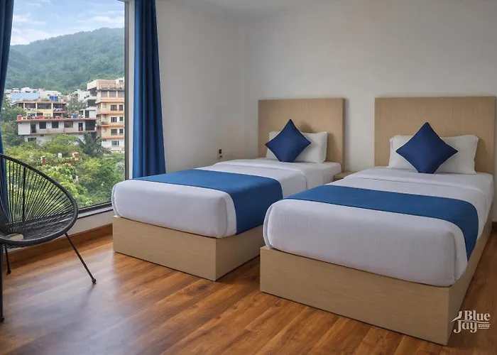 The Blue Jay Hostel Rishikesh